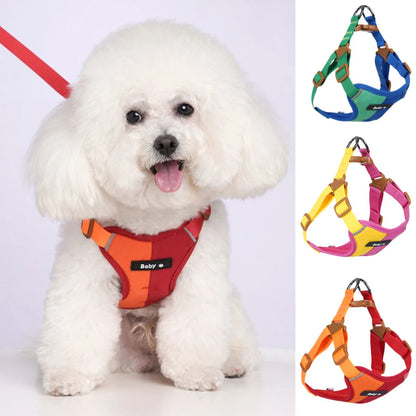 Reflective Adjustable Dog Harness and Leash Set for Small to Medium Dogs – Soft Breathable Polyester, Colorful Design 2