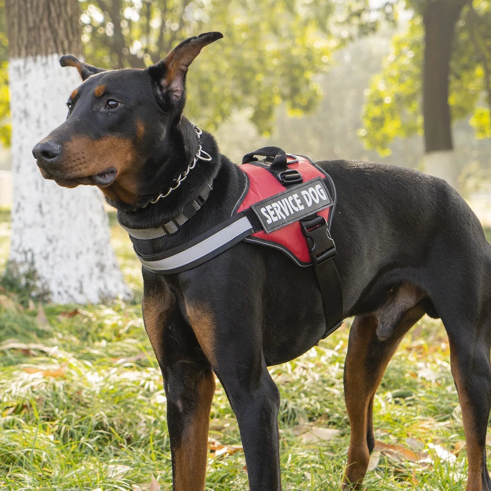 Reflective Adjustable Dog Harness with Service Dog Vest Badge – Durable Polyester for Enhanced Visibility and Comfort 6
