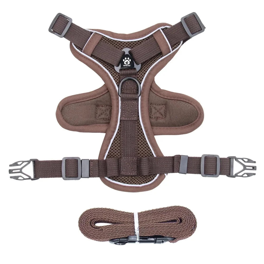 Reflective cat harness and leash set featuring adjustable fit and breathable mesh, designed for kittens and small cats, ensuring comfort and safety during outdoor walks. 0