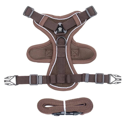 Reflective cat harness and leash set featuring adjustable fit and breathable mesh, designed for kittens and small cats, ensuring comfort and safety during outdoor walks. 0