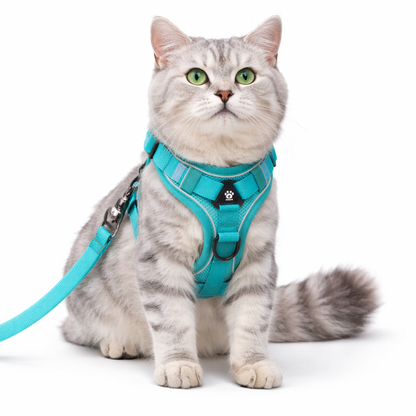 Reflective cat harness and leash set featuring adjustable fit and breathable mesh, designed for kittens and small cats, ensuring comfort and safety during outdoor walks. 1