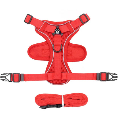 Reflective cat harness and leash set featuring adjustable fit and breathable mesh, designed for kittens and small cats, ensuring comfort and safety during outdoor walks. 10