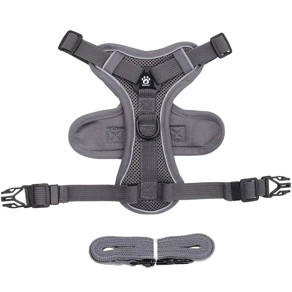 Reflective cat harness and leash set featuring adjustable fit and breathable mesh, designed for kittens and small cats, ensuring comfort and safety during outdoor walks. 6