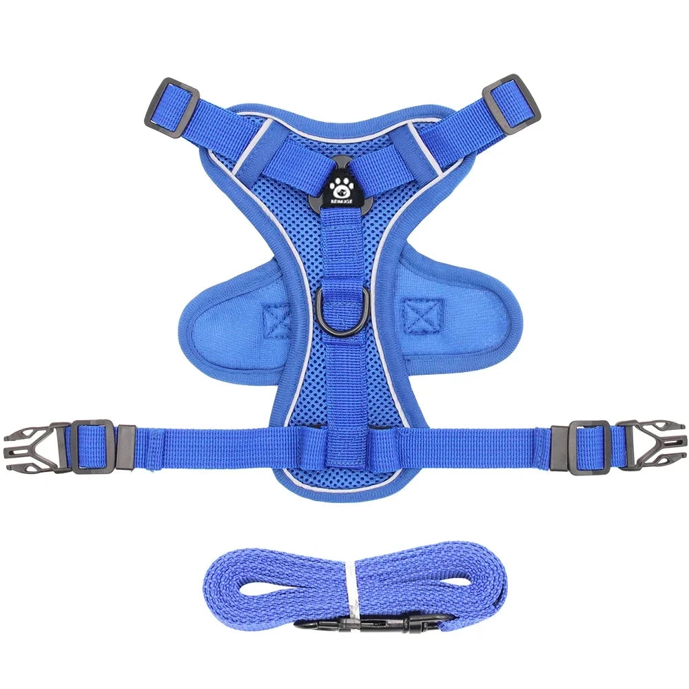 Reflective cat harness and leash set featuring adjustable fit and breathable mesh, designed for kittens and small cats, ensuring comfort and safety during outdoor walks. 9