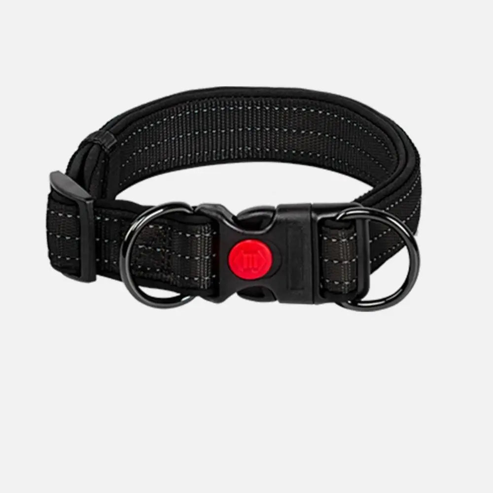 Reflective Dog Collar with 360° Visibility, Adjustable Neoprene Padding for All Sizes – Durable Nylon, Safe Plastic Buckle 0