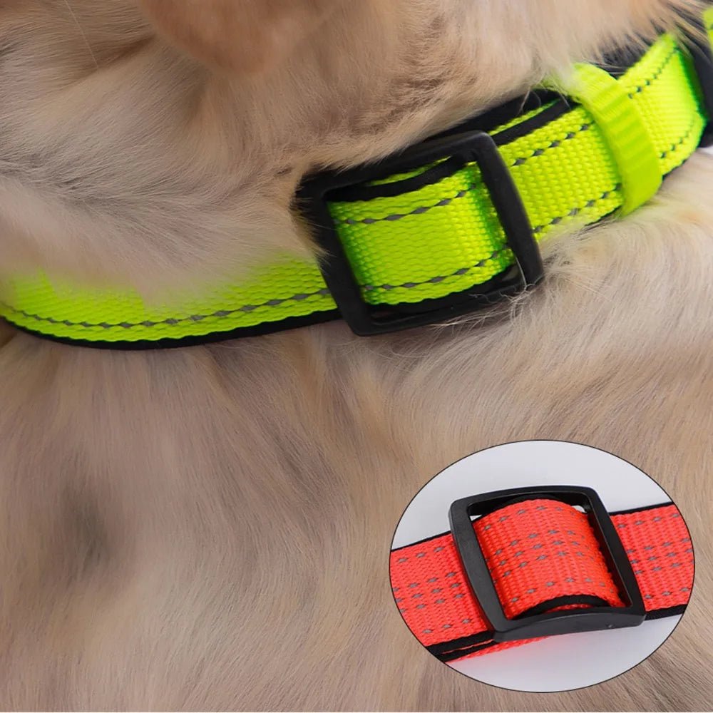 Reflective Dog Collar with 360° Visibility, Adjustable Neoprene Padding for All Sizes – Durable Nylon, Safe Plastic Buckle 3
