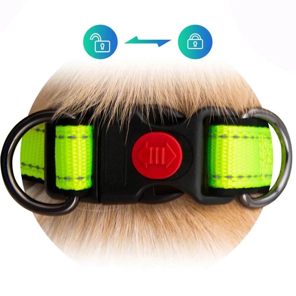 Reflective Dog Collar with 360° Visibility, Adjustable Neoprene Padding for All Sizes – Durable Nylon, Safe Plastic Buckle 4