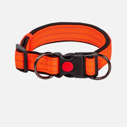 Reflective Dog Collar with 360° Visibility, Adjustable Neoprene Padding for All Sizes – Durable Nylon, Safe Plastic Buckle 8