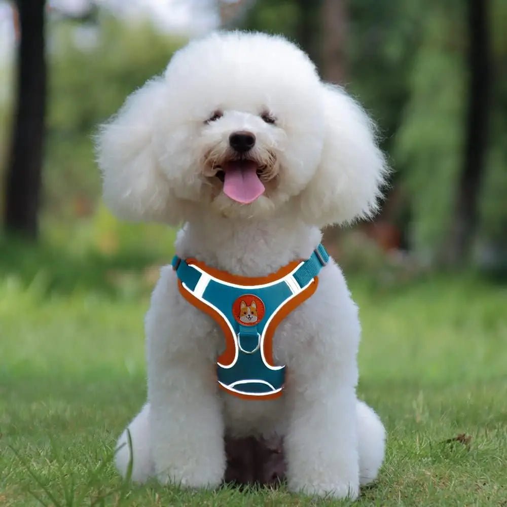 Reflective Dog Harness – Comfortable Nylon with Adjustable Straps for Safe Walking and Outdoor Activities 1