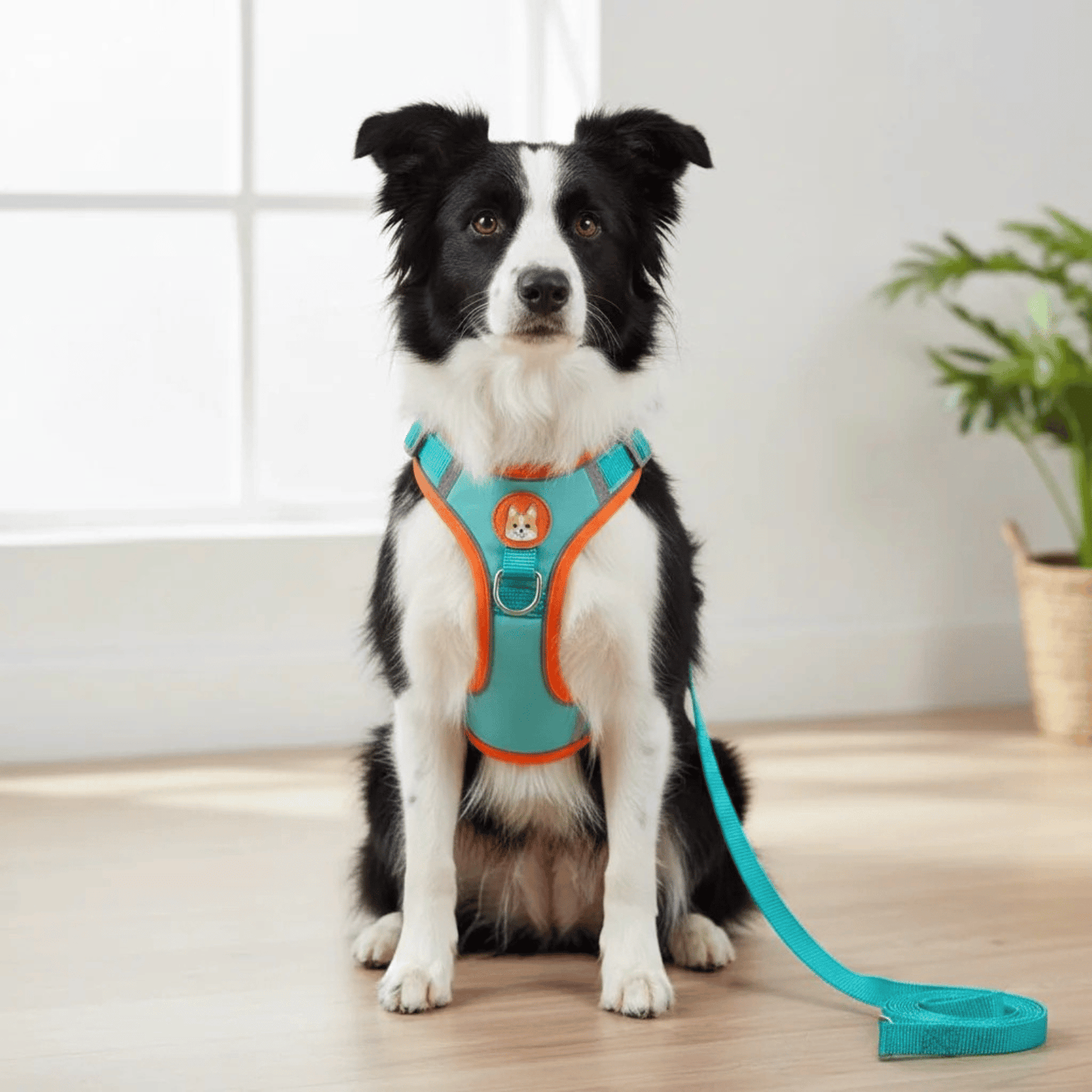 Reflective Dog Harness – Comfortable Nylon with Adjustable Straps for Safe Walking and Outdoor Activities 7