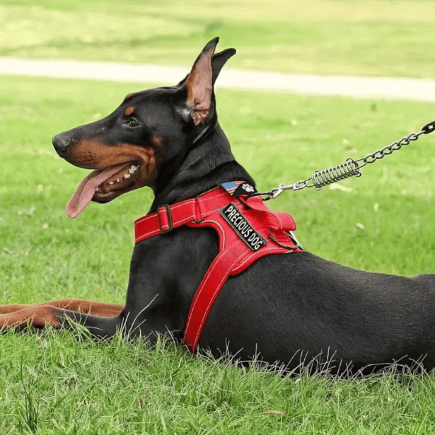 Reflective Dog Harness with Handle and 5 Interchangeable Patches – Comfortable Service Dog Vest for Optimal Support 1