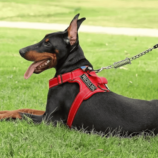 Reflective Dog Harness with Handle and 5 Interchangeable Patches – Comfortable Service Dog Vest for Optimal Support 1