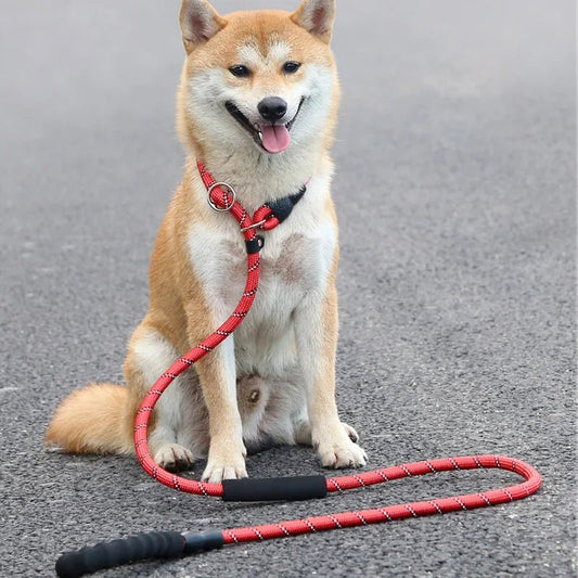 Reflective Dog Leash 180cm with Padded Handle and Adjustable Collar – Durable Nylon for Safety 7
