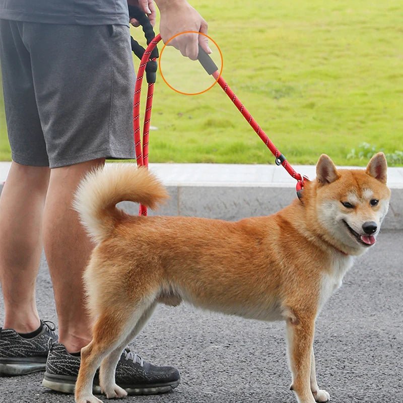 Reflective Dog Leash 180cm with Padded Handle and Adjustable Collar – Durable Nylon for Safety 8