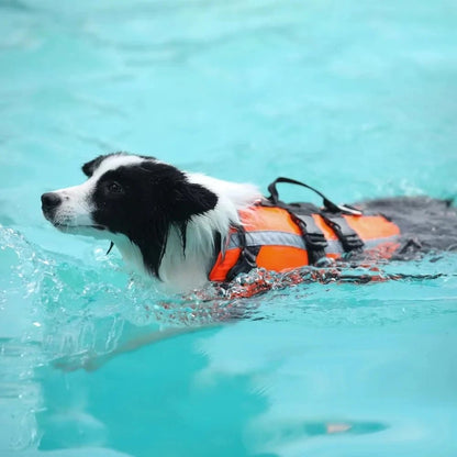 Reflective Dog Life Jacket - Adjustable Safety Vest for Small to Large Dogs - Lightweight Dog Swim Vest with Sturdy Handle 7