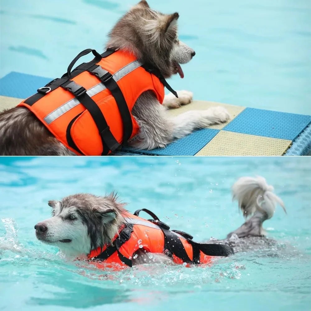 Reflective Dog Life Jacket - Adjustable Safety Vest for Small to Large Dogs - Lightweight Dog Swim Vest with Sturdy Handle 8