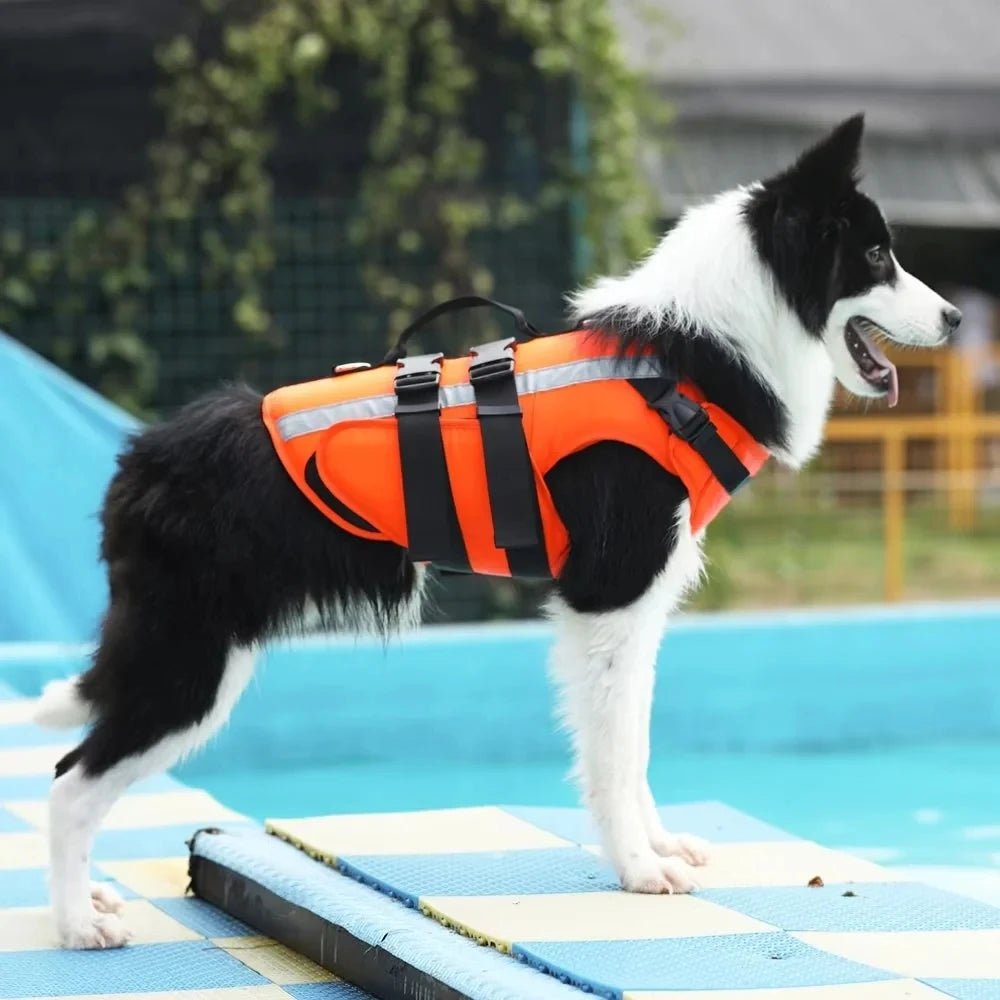 Reflective Dog Life Jacket for Safe Swimming – Adjustable Fit for All Breeds 6