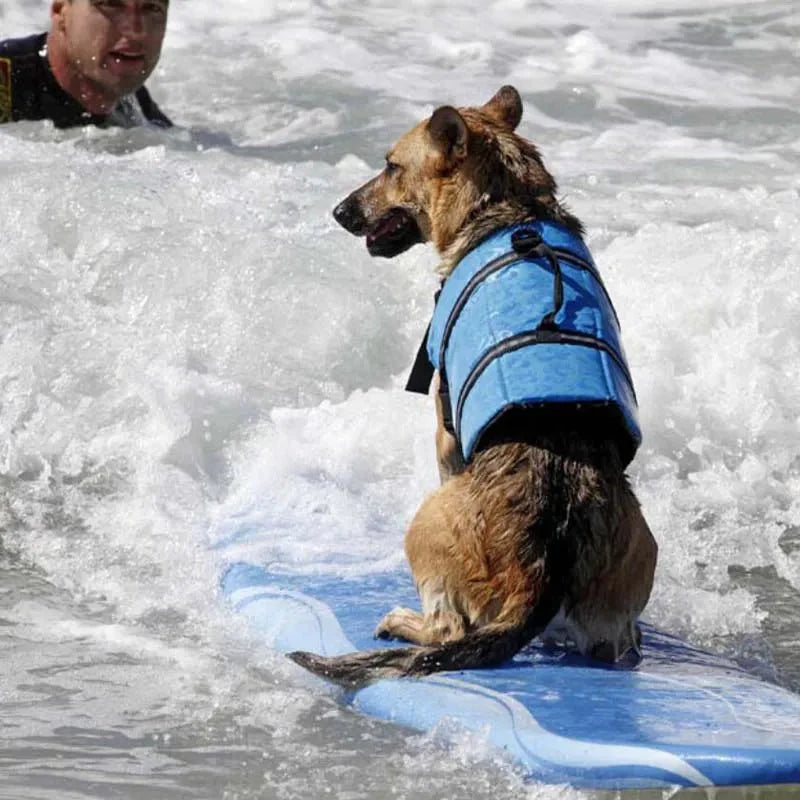 Reflective Dog Life Jacket with Adjustable Straps and Rescue Handle – Lightweight Swim Vest for Small to Medium Dogs 2