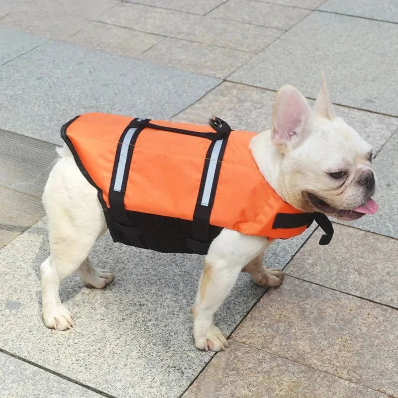Reflective Dog Life Jacket with Adjustable Straps and Rescue Handle – Lightweight Swim Vest for Small to Medium Dogs 3