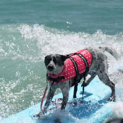 Reflective Dog Life Jacket with Adjustable Straps and Rescue Handle – Lightweight Swim Vest for Small to Medium Dogs 8