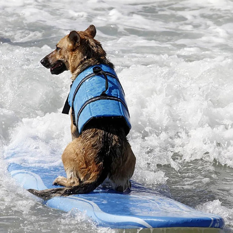 Reflective Dog Life Jacket with Breathable Mesh, Secure Fit, and Enhanced Visibility – Ideal Dog Swim Vest for Water Activities 1