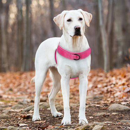 Reflective No Pull Dog Harness with Sturdy Handle – Durable Adjustable Nylon Harness for Medium Dogs 3