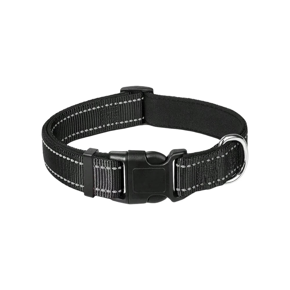Reflective Padded Dog Collar – Breathable, Lightweight Design with Adjustable Fit for Active Pets 0
