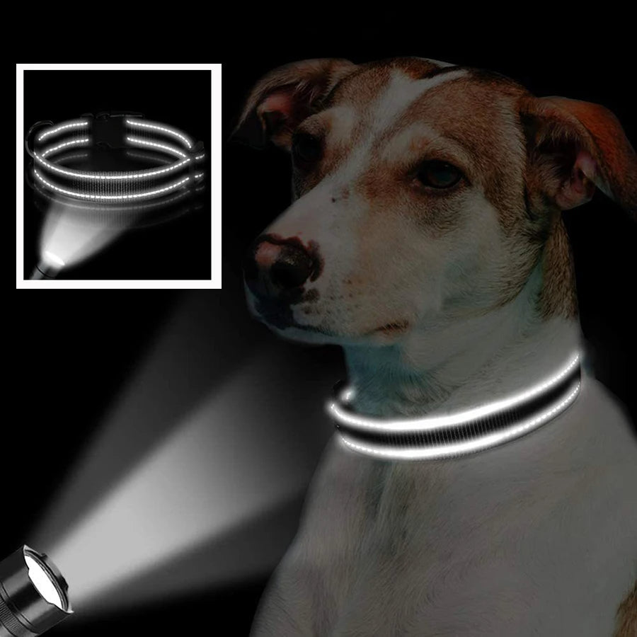 Reflective Padded Dog Collar – Breathable, Lightweight Design with Adjustable Fit for Active Pets 1