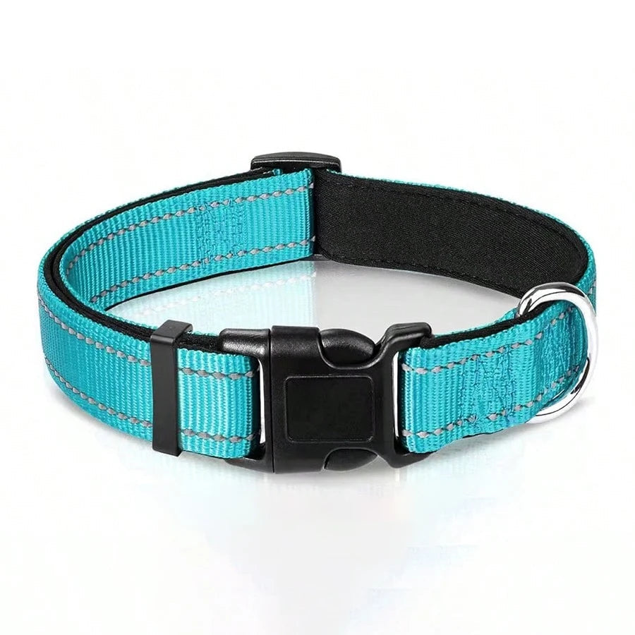Reflective Padded Dog Collar – Breathable, Lightweight Design with Adjustable Fit for Active Pets 4
