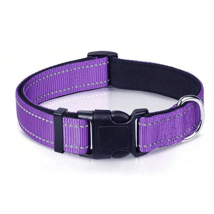 Reflective Padded Dog Collar – Breathable, Lightweight Design with Adjustable Fit for Active Pets 5