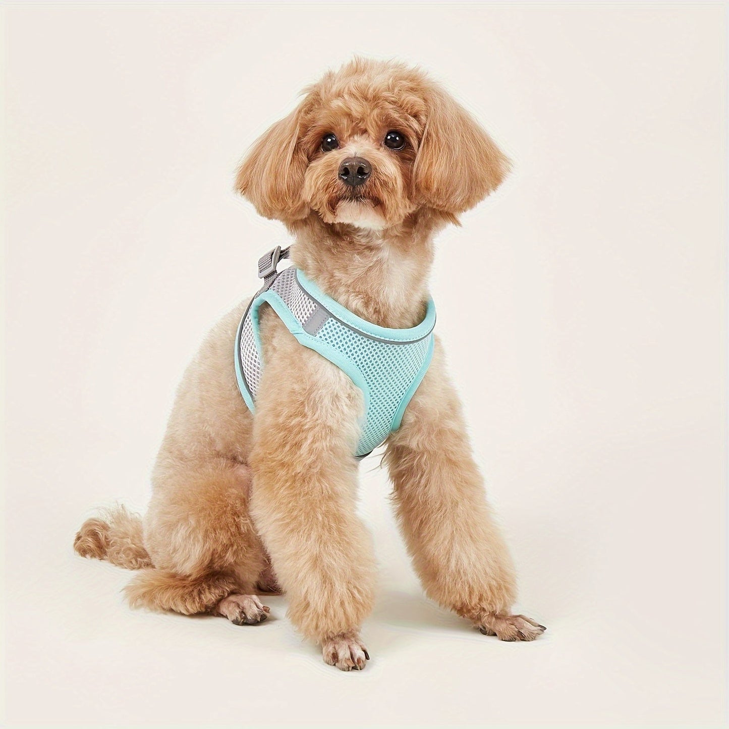 Reflective Soft Mesh Pet Harness for Small Dogs and Cats – Breathable, Comfortable, Adjustable Fit 8