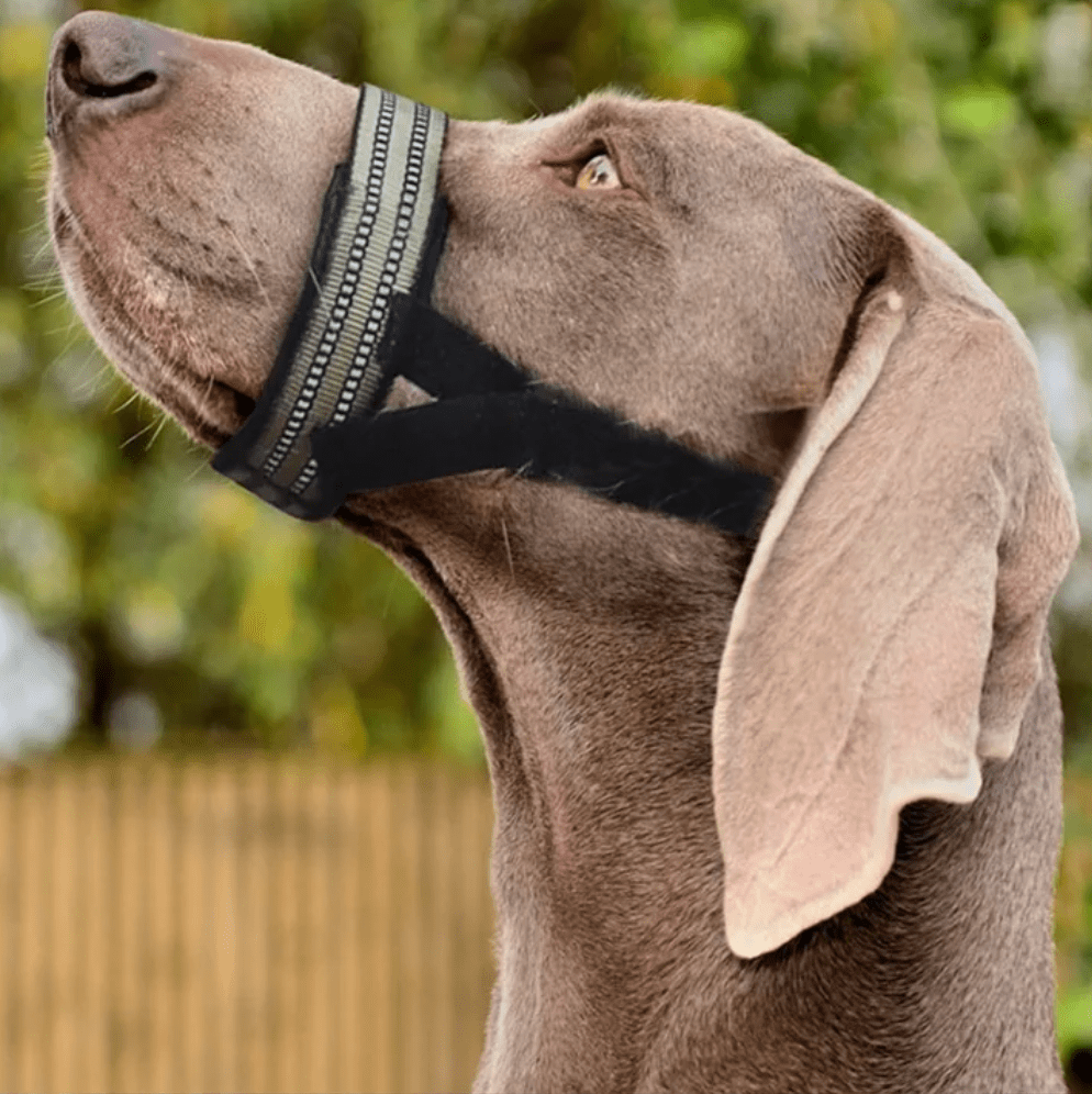Reflective Tactical Dog Muzzle for Medium to Large Breeds – Comfortable Basket Muzzle for Barking and Biting 1