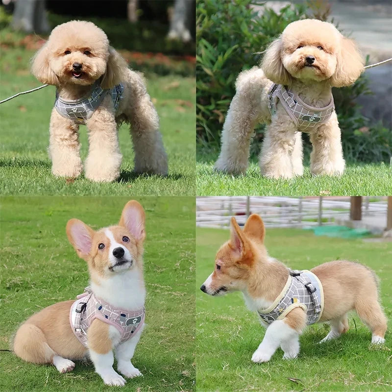 ReflectoPawVest | Breathable Reflective Harness 2