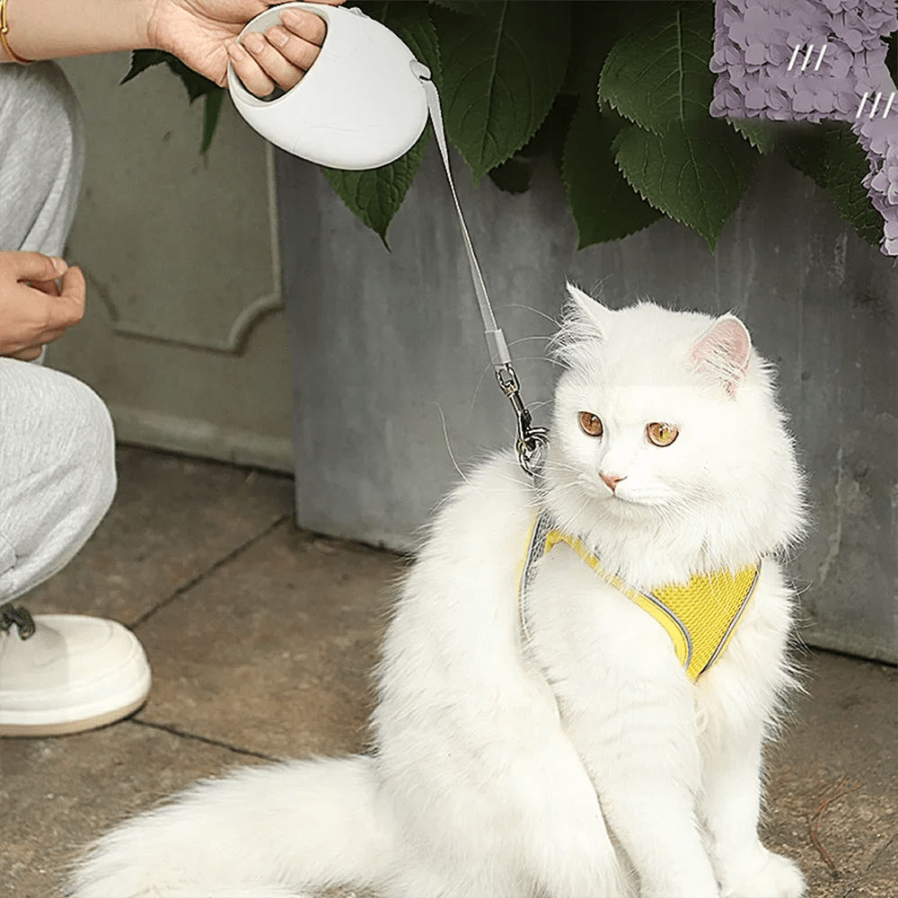 Retractable Dog Leash 3M/5M – Durable Nylon with Comfortable Grip for Small to Medium Pets 2