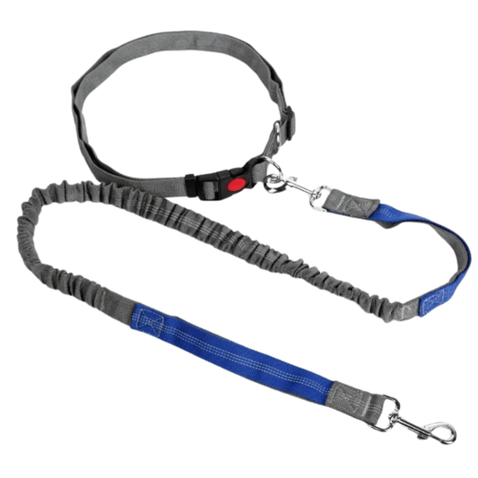 Retractable Hands-Free Dog Leash with Adjustable Waist Strap for Jogging and Walking – Comfort Fit, Reflective, Suitable for All Dog Sizes 0