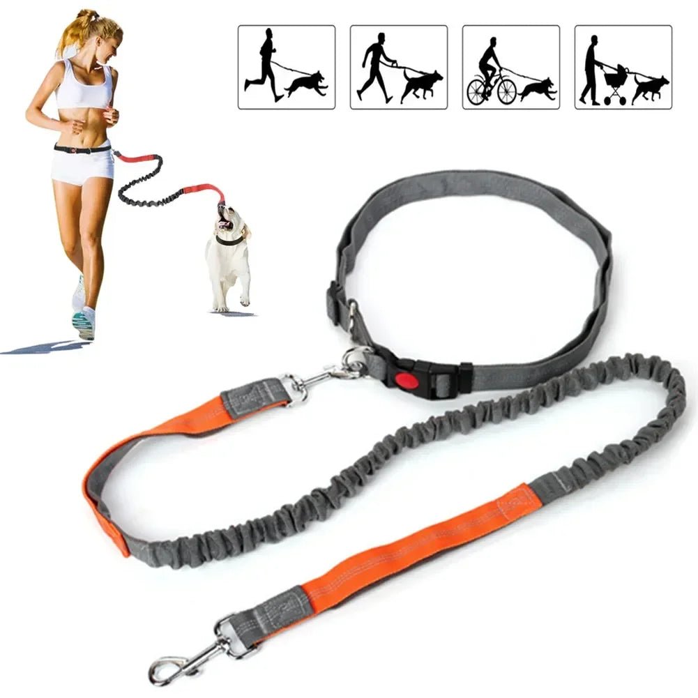 Retractable Hands-Free Dog Leash with Adjustable Waist Strap for Jogging and Walking – Comfort Fit, Reflective, Suitable for All Dog Sizes 1