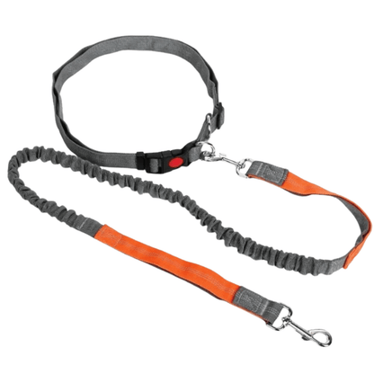 Retractable Hands-Free Dog Leash with Adjustable Waist Strap for Jogging and Walking – Comfort Fit, Reflective, Suitable for All Dog Sizes 7