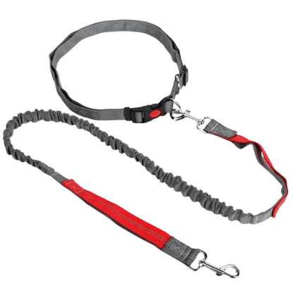 Retractable Hands-Free Dog Leash with Adjustable Waist Strap for Jogging and Walking – Comfort Fit, Reflective, Suitable for All Dog Sizes 8