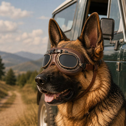 Retro Aviator Dog Goggles featuring adjustable straps for optimal fit, designed for wind and dust protection, providing lightweight eye protection for your canine companion. 12