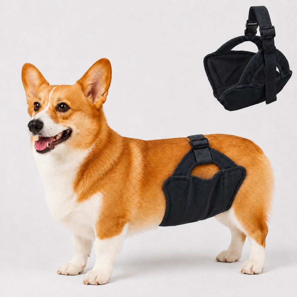 Adjustable reusable dog diaper for female dogs in heat, featuring washable fabric for comfort and protection during heat cycles. 0