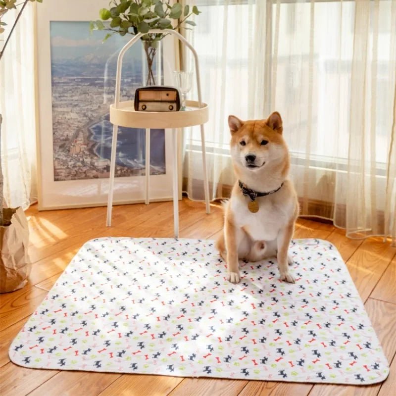 Reusable Dog Training Pad with Waterproof Layer – Absorbent and Anti-Slip Design 2