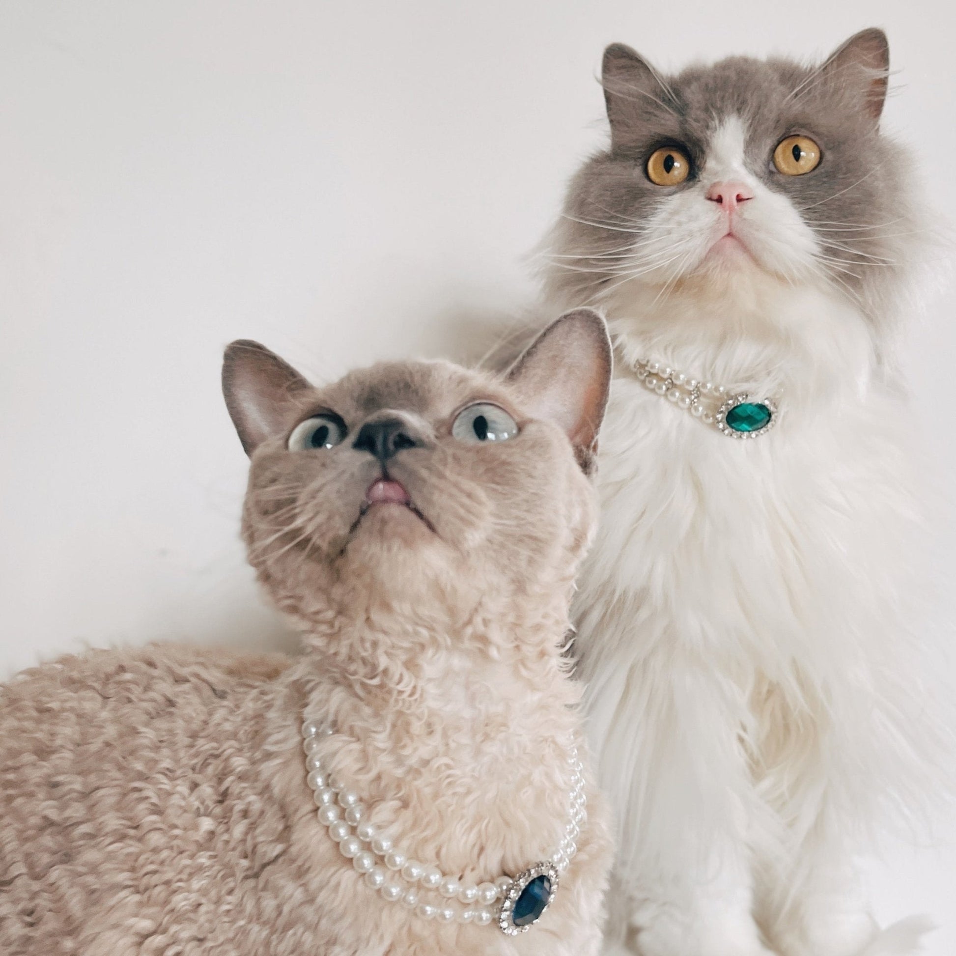 Rhinestone Jeweled Pet Necklace in Vibrant Colors – Metal and Artificial Pearl Design for Stylish Pets 2