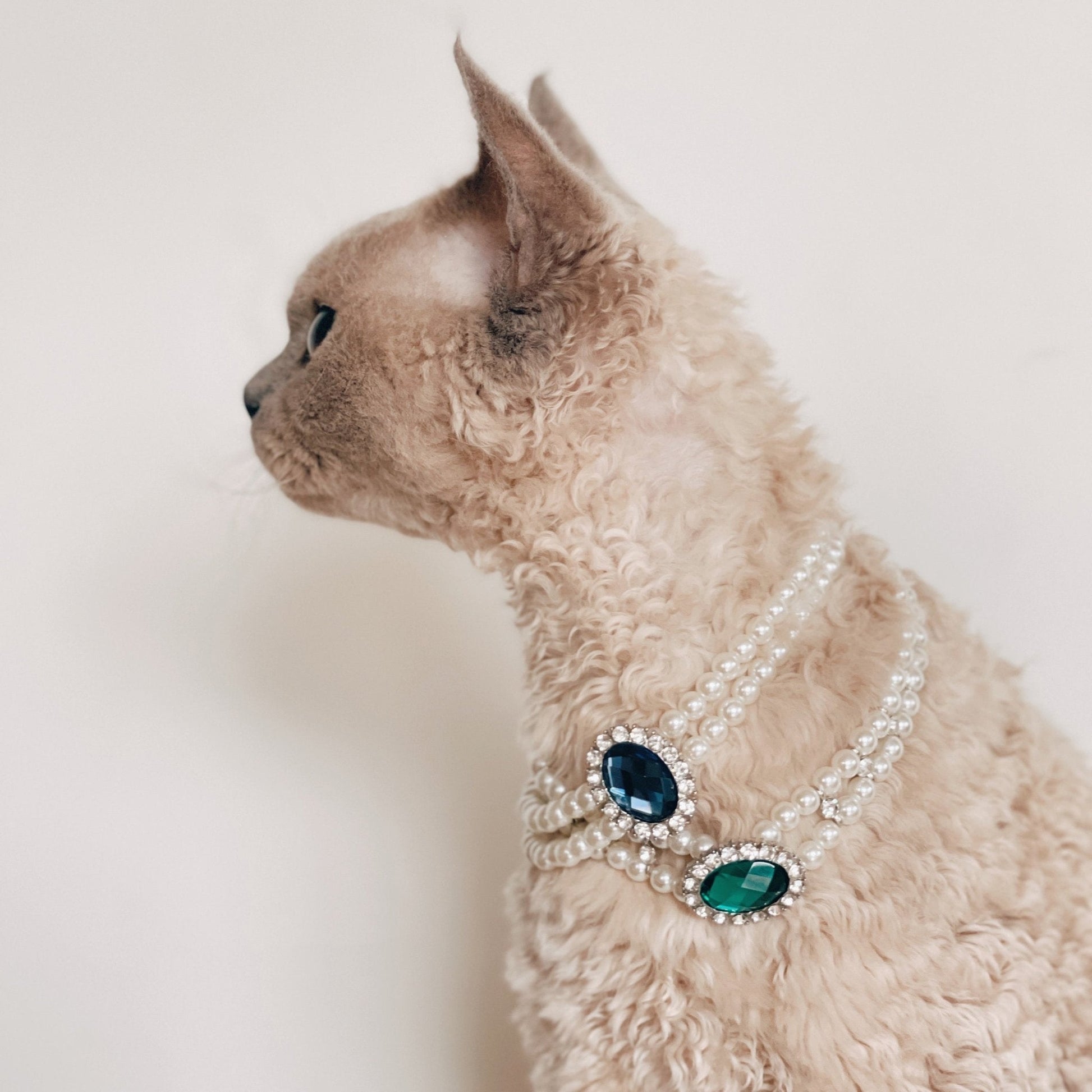 Rhinestone Jeweled Pet Necklace in Vibrant Colors – Metal and Artificial Pearl Design for Stylish Pets 3