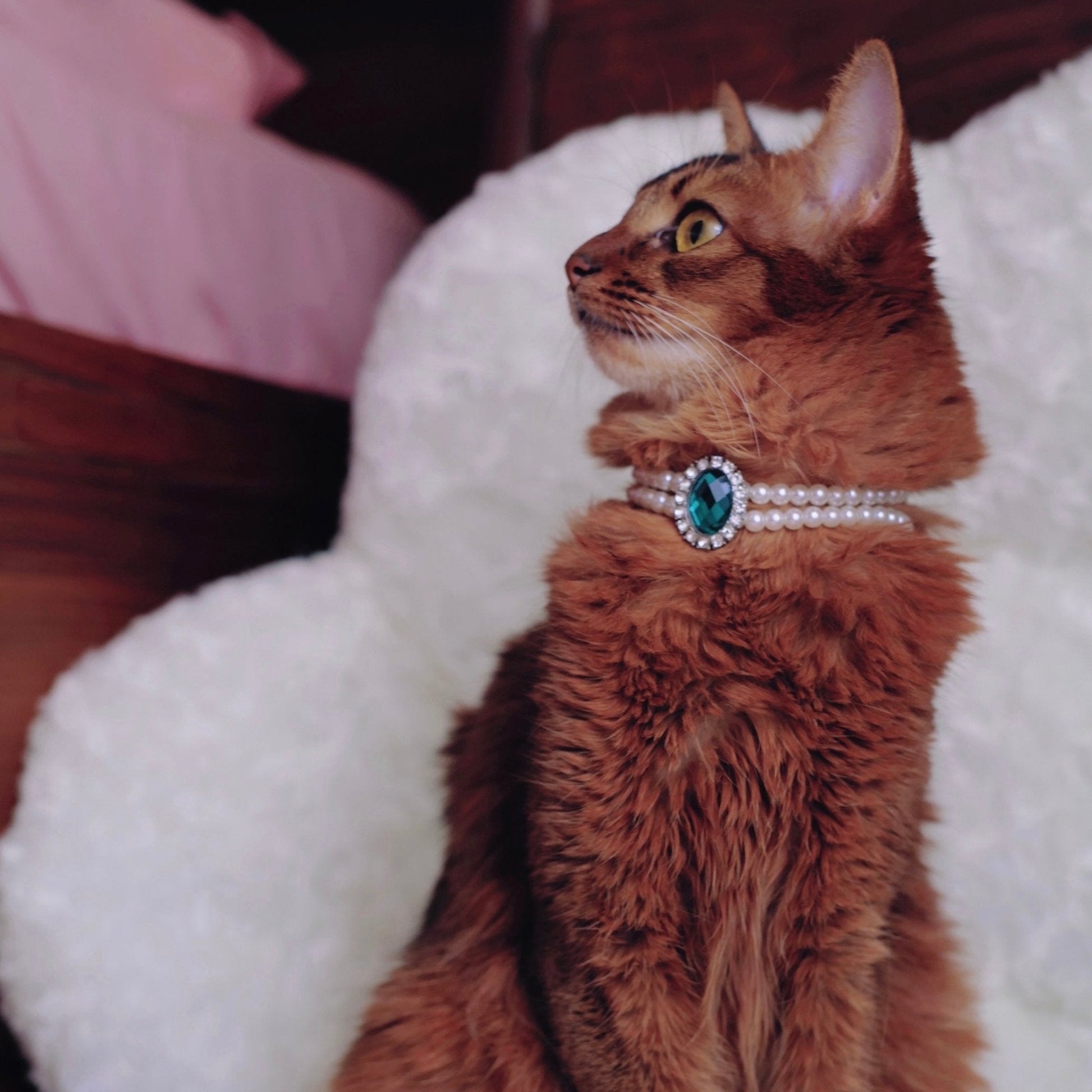 Rhinestone Jeweled Pet Necklace in Vibrant Colors – Metal and Artificial Pearl Design for Stylish Pets 4