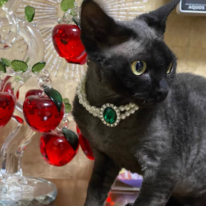 Rhinestone Jeweled Pet Necklace in Vibrant Colors – Metal and Artificial Pearl Design for Stylish Pets 5