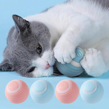 RollCat | Interactive Cat Toy with Rechargeable Function 1