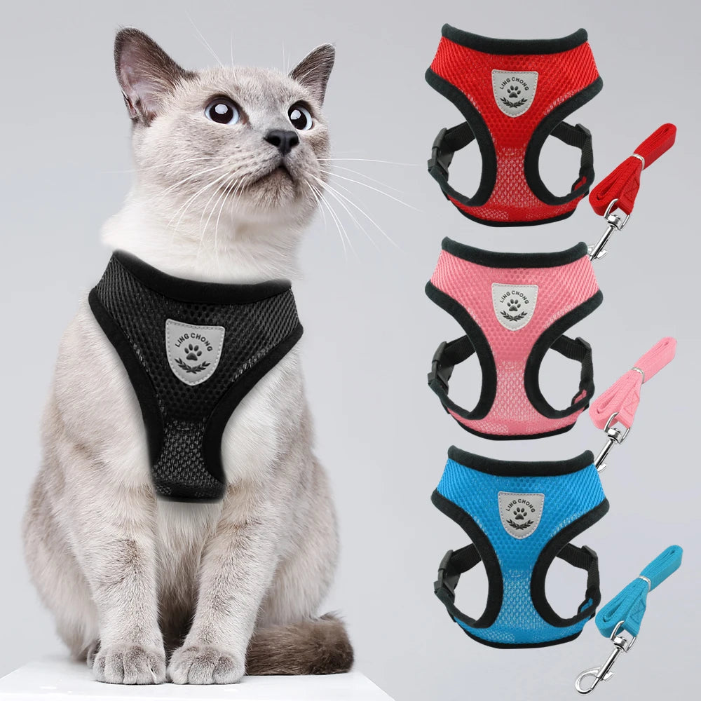 SafeWalk | Reflective Cat Harness and Leash Set 1