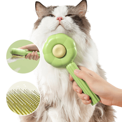 Self-Cleaning Cat Grooming Brush for Shedding with Massage Particles – Lightweight and Comfortable Design 1