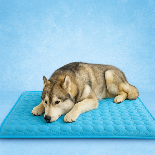 Self-Cooling Dog Mat for All Breeds – Lightweight and Durable Pet Cooling Pad 0