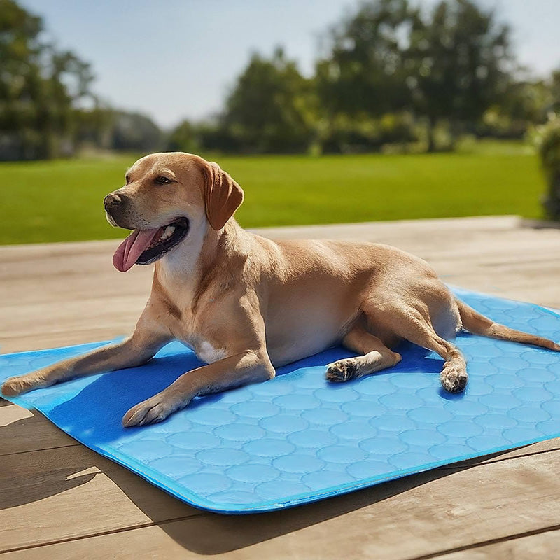 Self-Cooling Dog Mat with 3-Layer Design for Ultimate Comfort – Pet-Friendly and Non-Slip 2